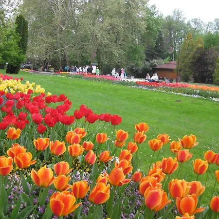 Bed & Breakfast Sante Hévíz