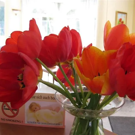 Bed and breakfast Sante